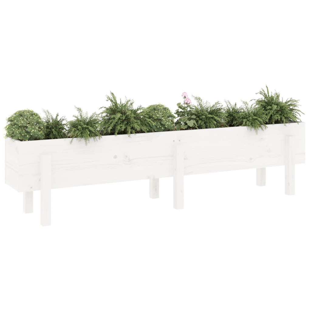 Arriate Elevado De Jardín Madera Maciza Pino Blanco 160x30x38cm_2