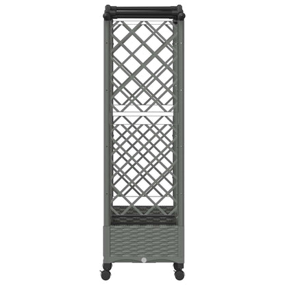 Cama Elevada Con Trellis Y Techo Gris Claro 163 X 40 X 129 Cm_3