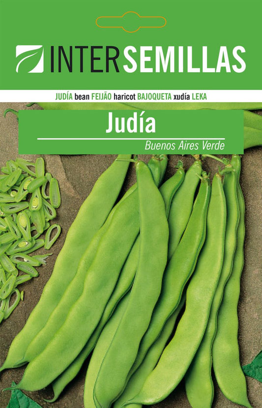 Sobre De Semillas De Judia Buenos Aires Verde_0