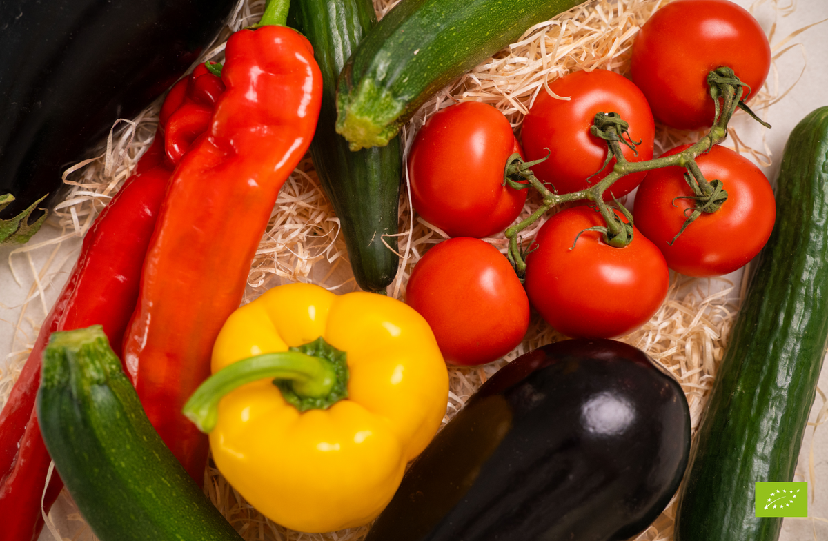 Cesta de verduras ecológicas con variedades de temporada 4-5 kg_1