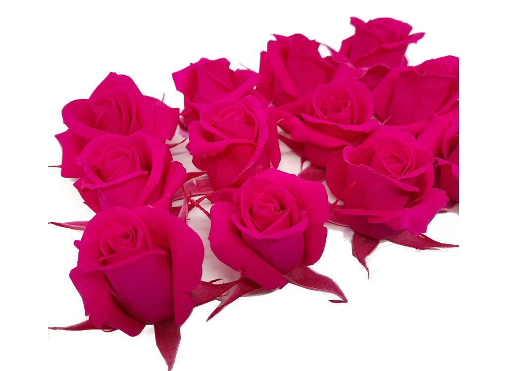Mundo Eterno Rosas Fucsia Preservadas 12 Unidades 3-4cm_1