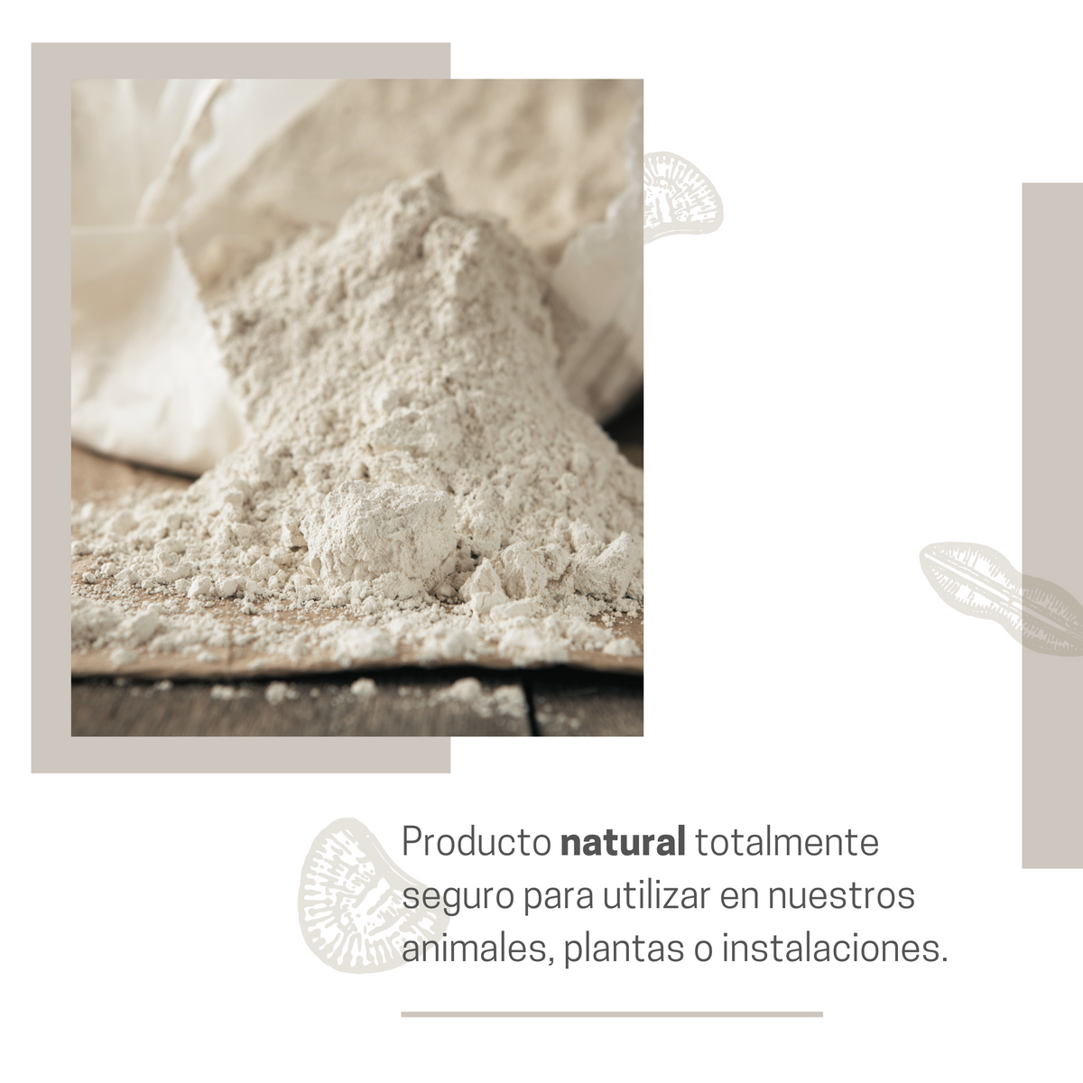 Tierra De Diatomeas Para Ayudar A Mantener El Gallinero Libre De Parásitos - Producto Natural - 2,5kg_2