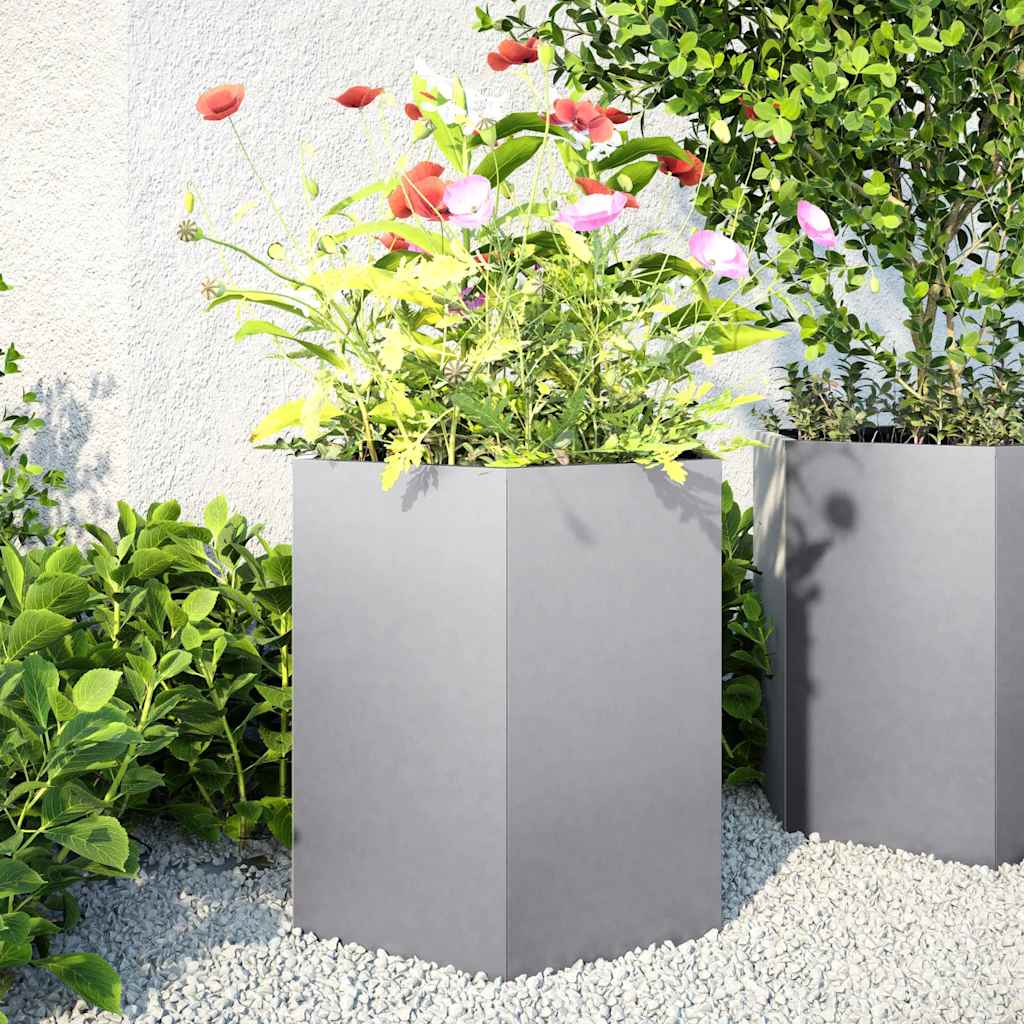Jardineras Hexagonales 2 Uds Acero Inoxidable 46x40x45 Cm_1