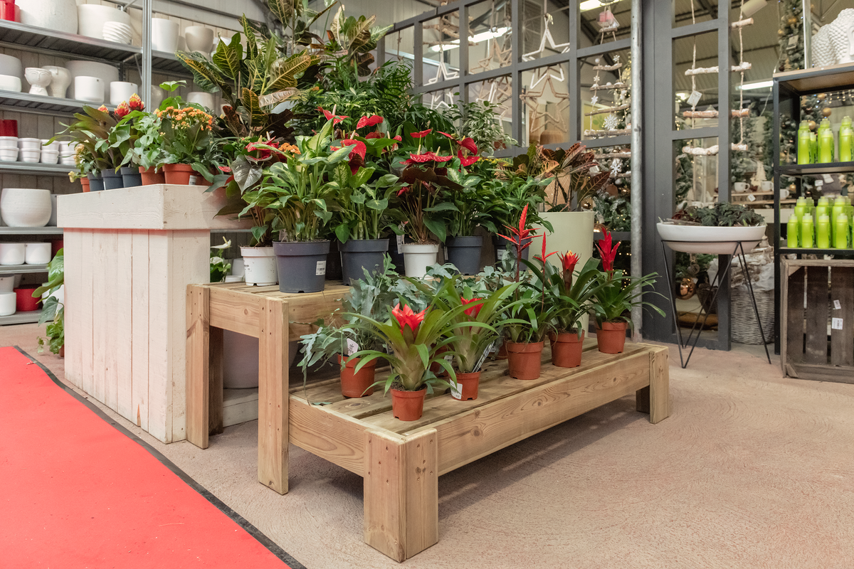 Expositor Escalera De Madera Podium Hortalia_2
