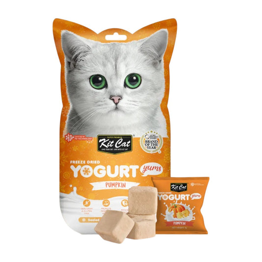Kit Cat Yogurt Yums Liofilizado Calabaza 10g (10 unidades)