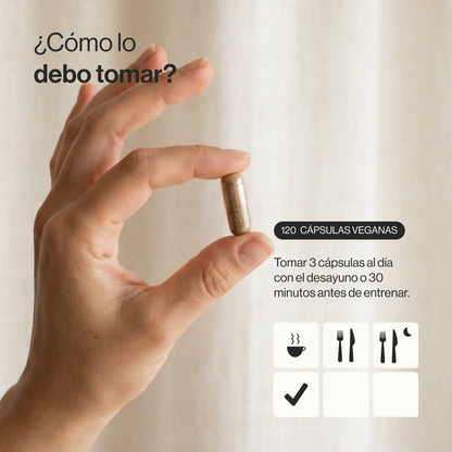 Zenement Burner Zen 120 Cápsulas
