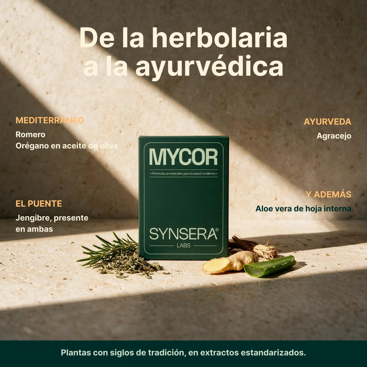 Mycor 60 Cápsulas Synsera Labs_3