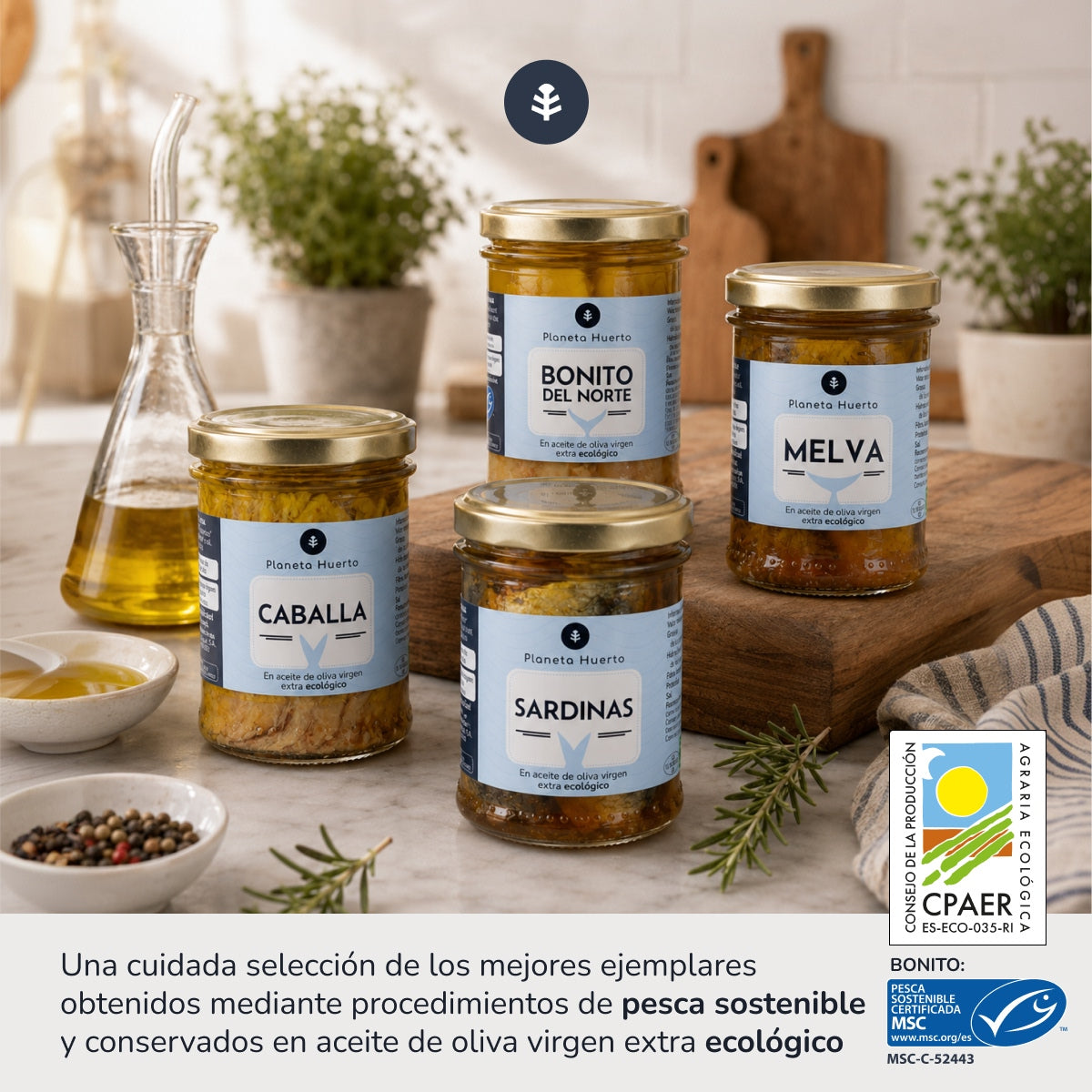Pack Melva, Caballa, Bonito y Sardinas en aceite de oliva virgen ECO, Planeta Huerto