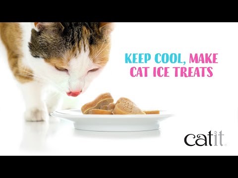Snack líquido para gatos sabor salmón y gambas Creamy 50 x 10 g Catit