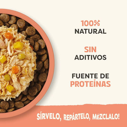 Topper de Pollo, Salmón y Verduras en Caldo para Perros Applaws 156 g - características