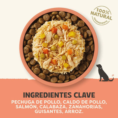 Topper de Pollo, Salmón y Verduras en Caldo para Perros Applaws 156 g - ingredientes
